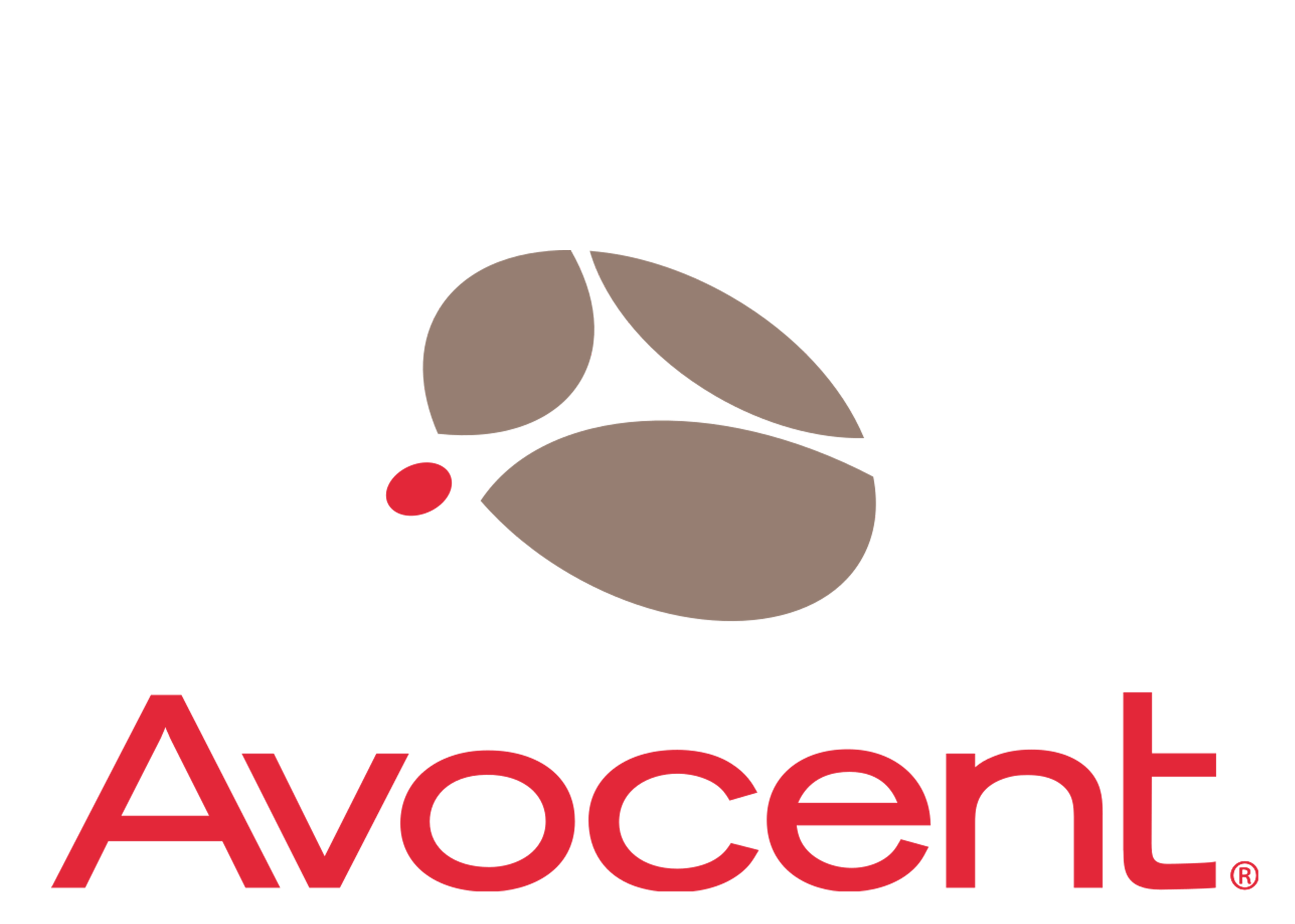 Avocent